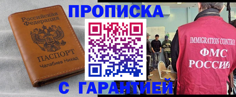 прописка в Бабаево